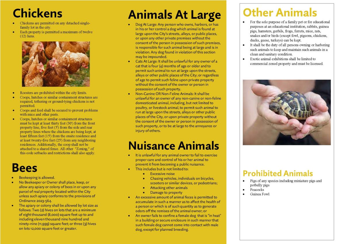 trifold brochure regarding animal codes pg 2