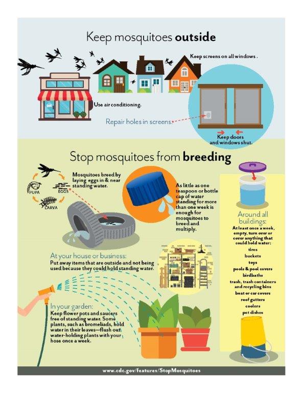 mosquito prevention flyer