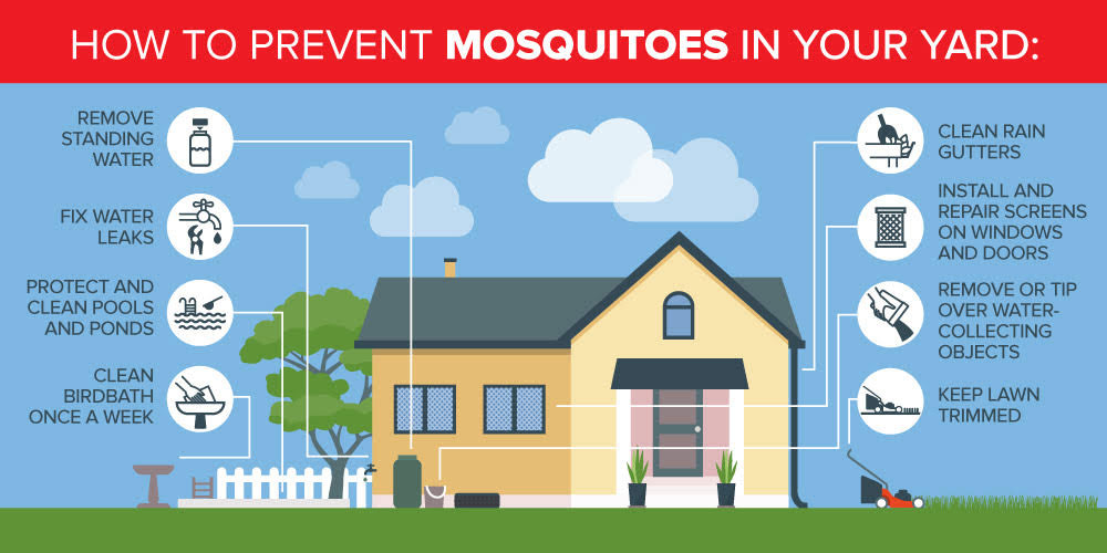 a flyer with a house with mosquito yard prevention tips.